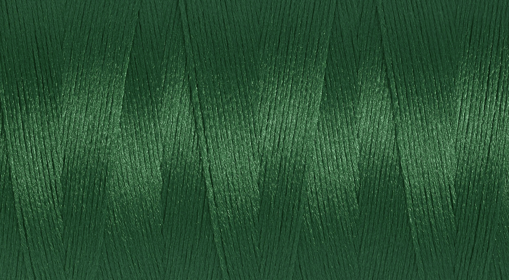 Gutermann Overlock Yarn - Bulky-Lock 160 : 2000 M Dark Green (340)-Thread-Jelly Fabrics
