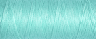 Gutermann Sew-All Thread - 100M (328)-Thread-Jelly Fabrics