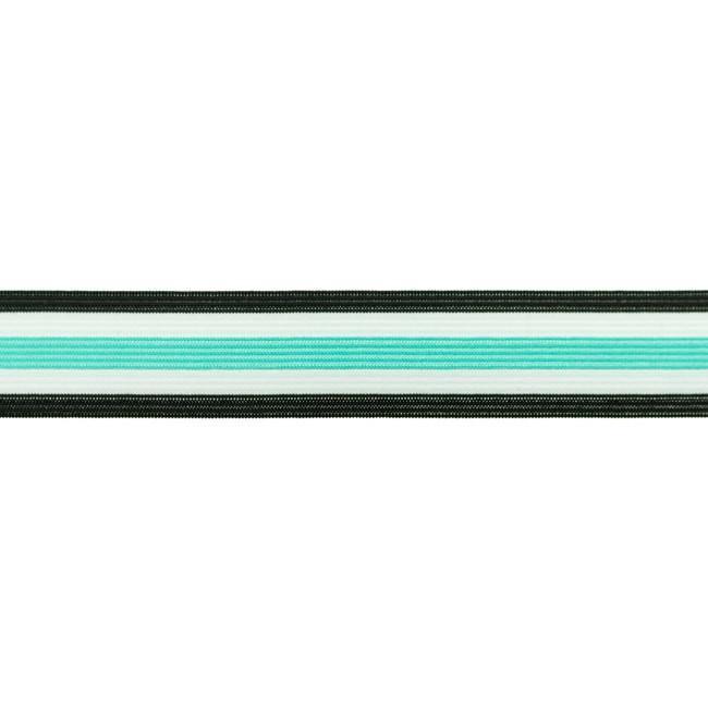 Elastic - Side Stripe Mint elastic 30mm-Elastic-Jelly Fabrics