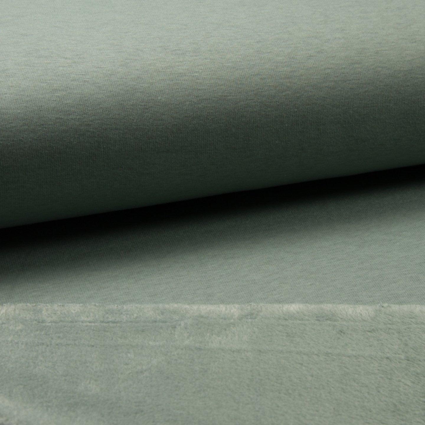 Alpine Fleece - Dusty Mint-Alpine Fleece-Jelly Fabrics
