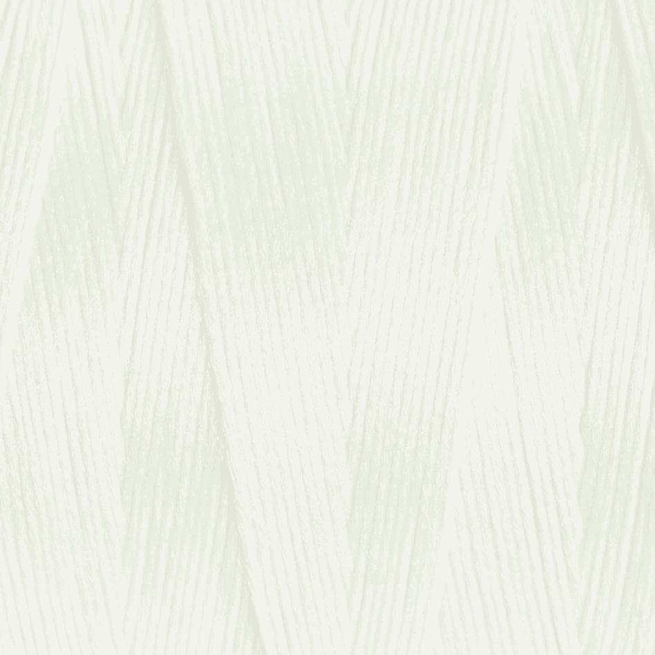 Gutermann Overlock Yarn - Bulky-Lock 160 : 2000 M White (111)-Thread-Jelly Fabrics